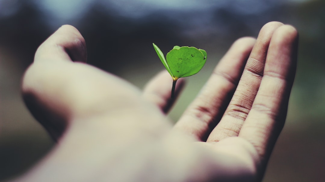 découvrez comment une assurance vie peut offrir une protection financière à vos proches. explorez les différents types de polices d'assurance, leurs avantages et comment choisir celle qui répond le mieux à vos besoins. assurez l'avenir de votre famille avec une couverture adaptée.